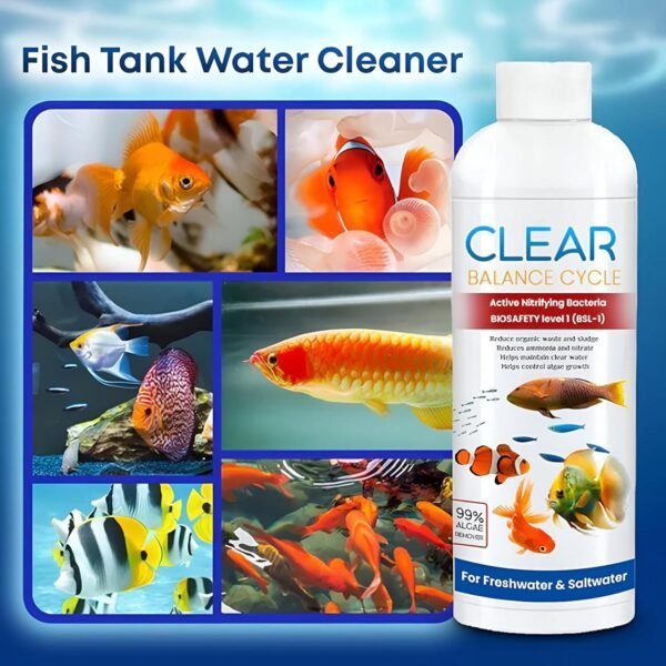 Clear Balance Cycle – Water Purification & Conditioning Solution (100ml) - Image 2