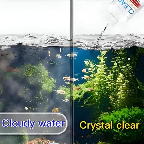 Clear Balance Cycle – Water Purification & Conditioning Solution (100ml) - Image 8
