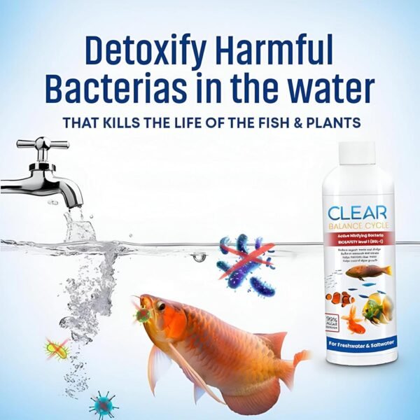 Clear Balance Cycle – Water Purification & Conditioning Solution (100ml) - Image 9