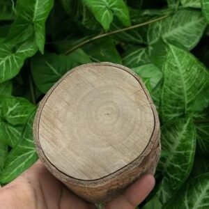 Jamun Wood Pack of 1