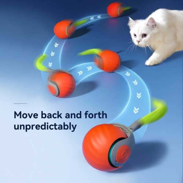 Rolling Ball Cat Toy - Image 4
